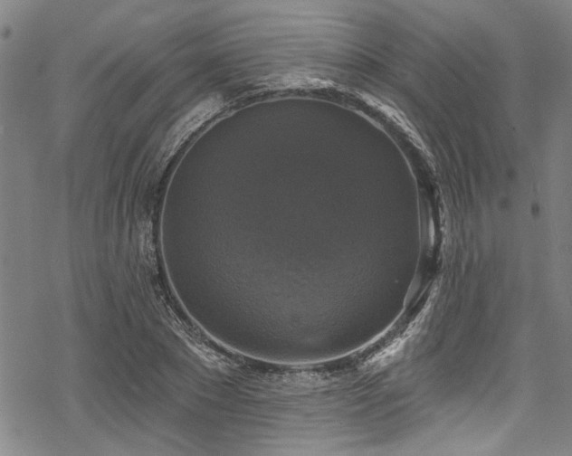 X0000068840881200605051259