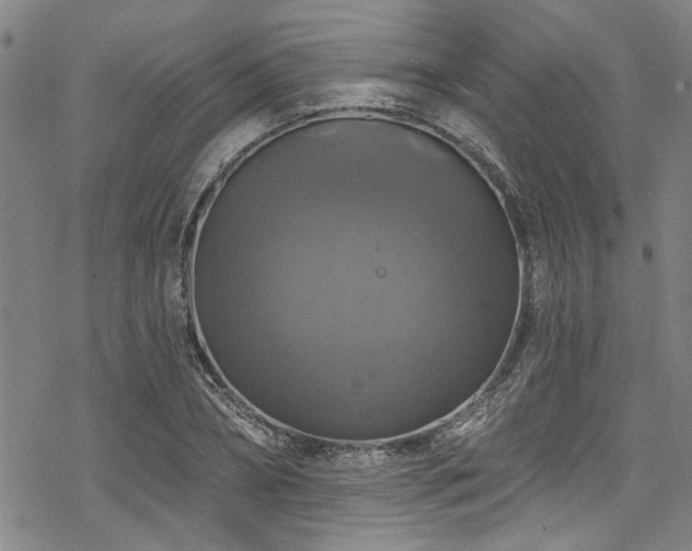 X0000068840882200605051259