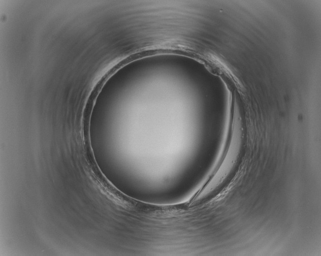 X0000068840884200605051259