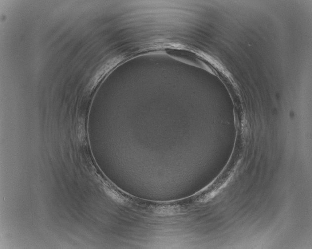 X0000068840889200605051259