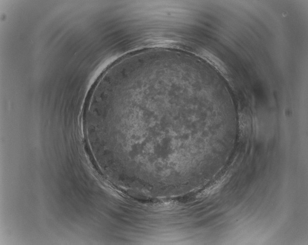 X0000068840891200605051259