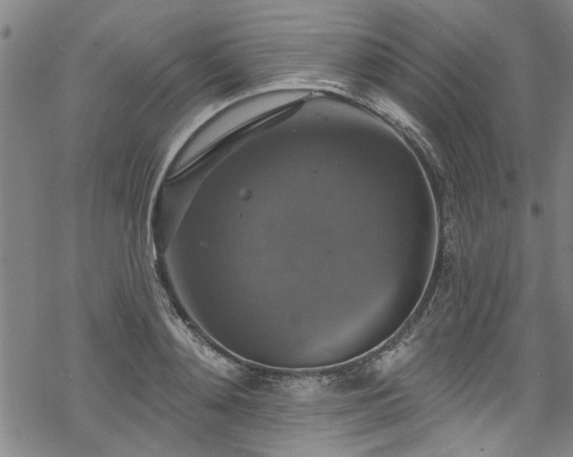 X0000068840892200605051259