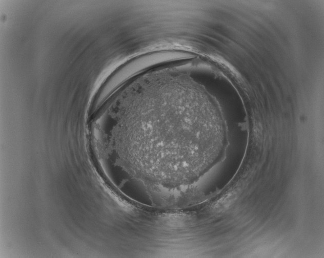 X0000068840894200605051259