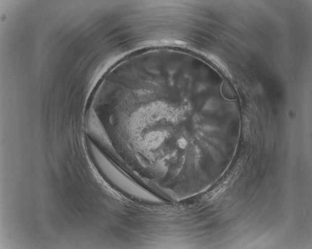 X0000068840895200605051259