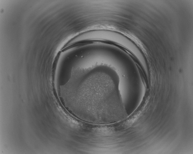 X0000068840896200605051259