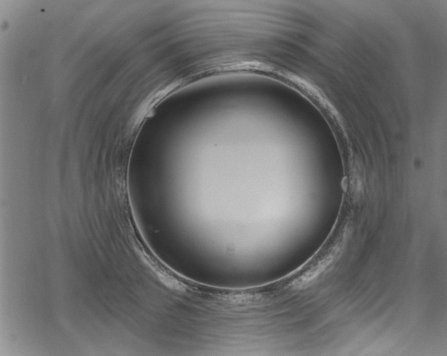 X0000068840897200605051259