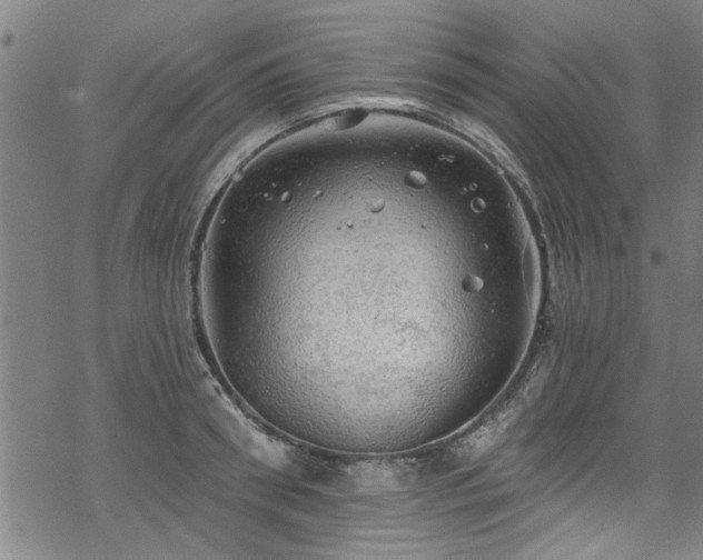 X0000068840898200605051259