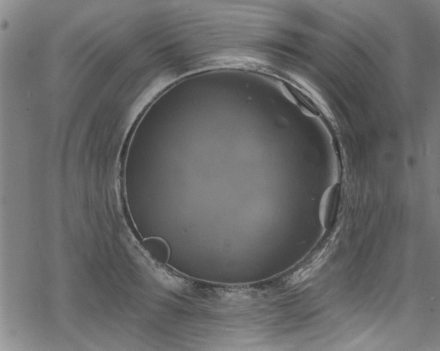 X0000068840899200605051259