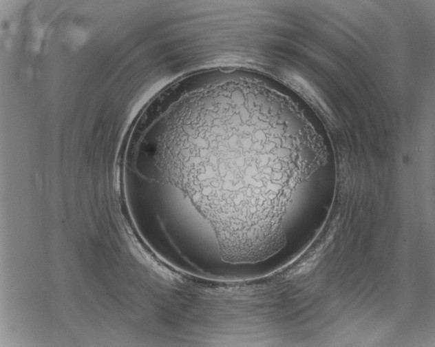 X0000068840900200605051259