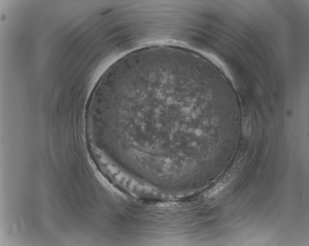 X0000068840903200605051259