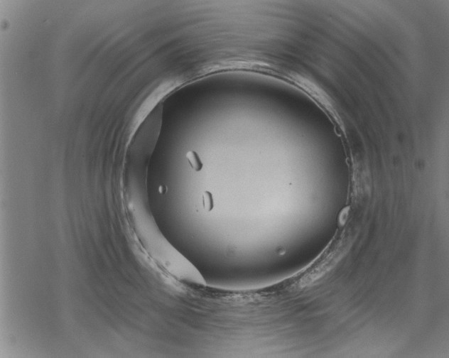 X0000068840906200605051258