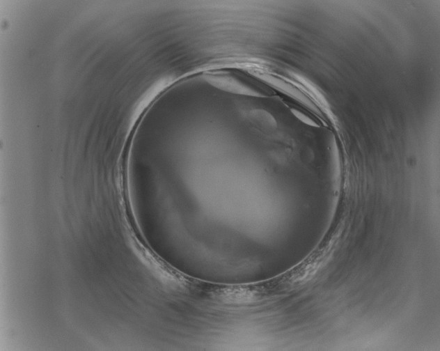 X0000068840907200605051258