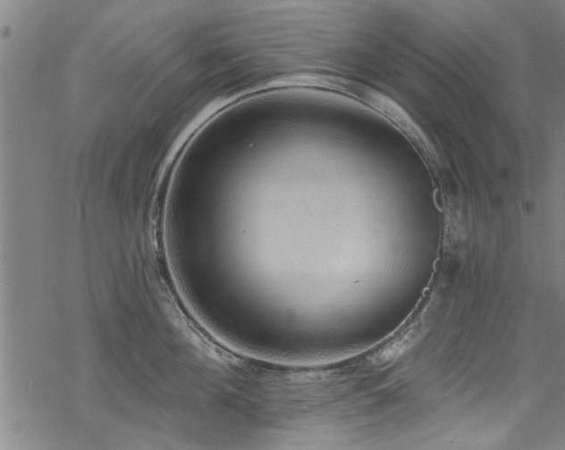 X0000068840908200605051258