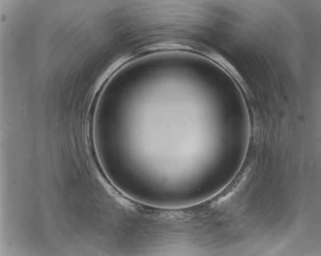 X0000068840909200605051258