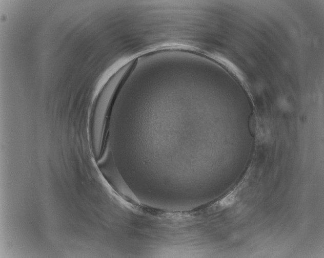 X0000068840910200605051258