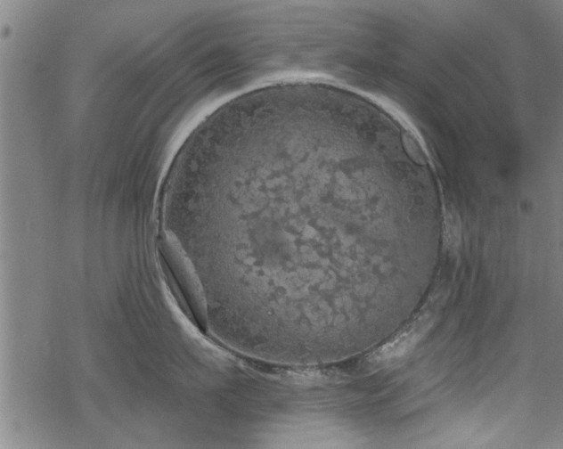 X0000068840911200605051258