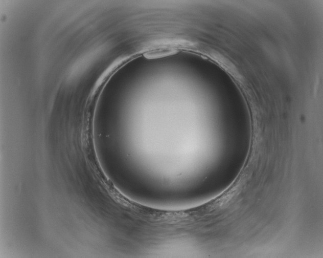 X0000068840912200605051258