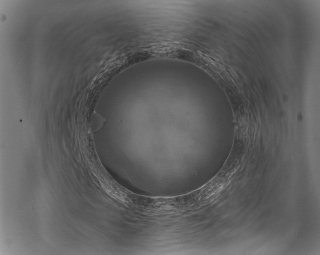 X0000068840913200605051258