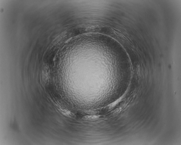 X0000068840914200605051258