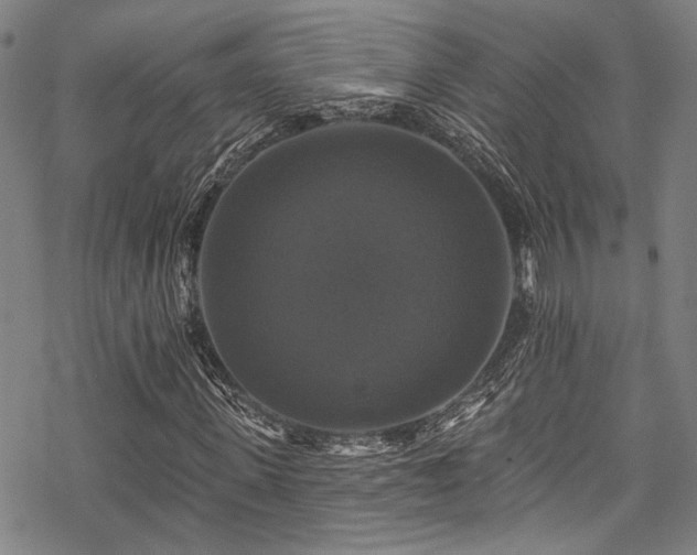 X0000068840915200605051258