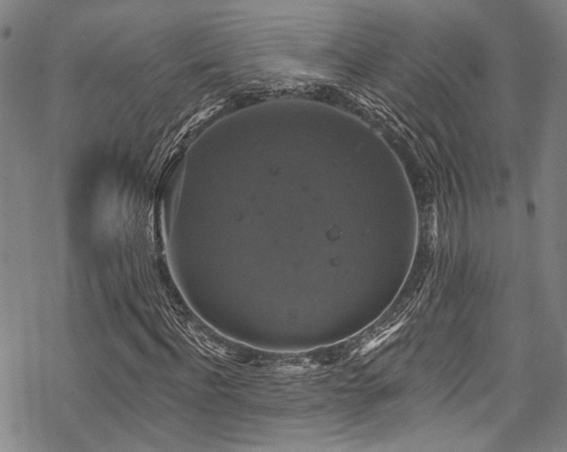 X0000068840916200605051258