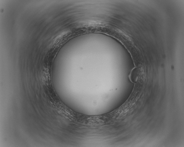 X0000068840918200605051258