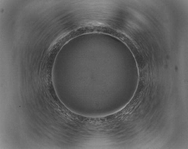 X0000068840919200605051258