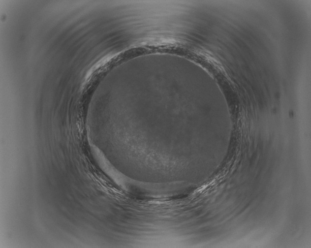 X0000068840920200605051258