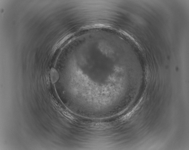 X0000068840921200605051258