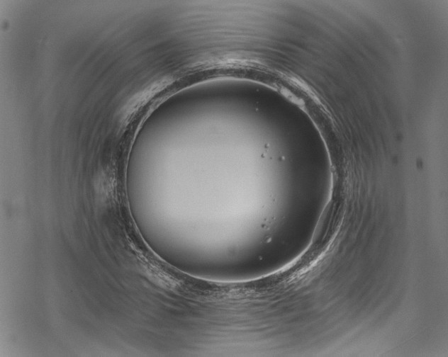 X0000068840922200605051258