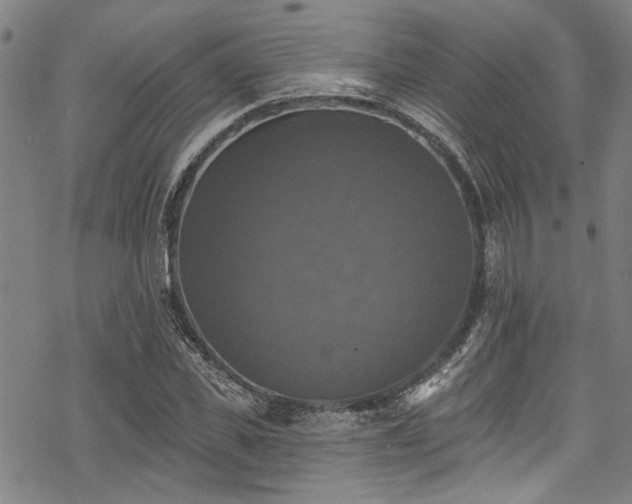 X0000068840925200605051258