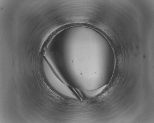 X0000068840926200605051258