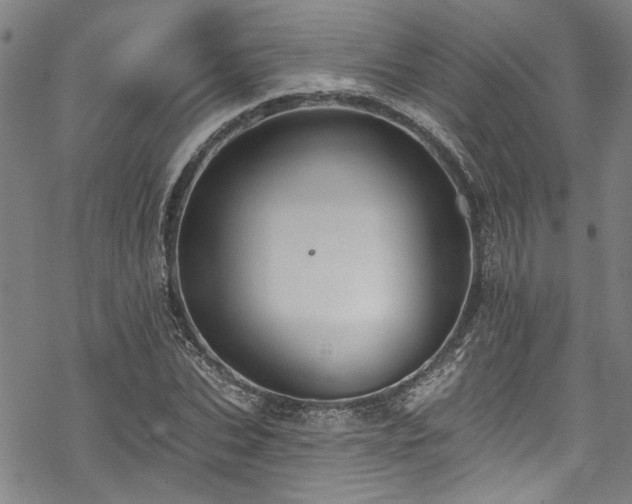 X0000068840927200605051258