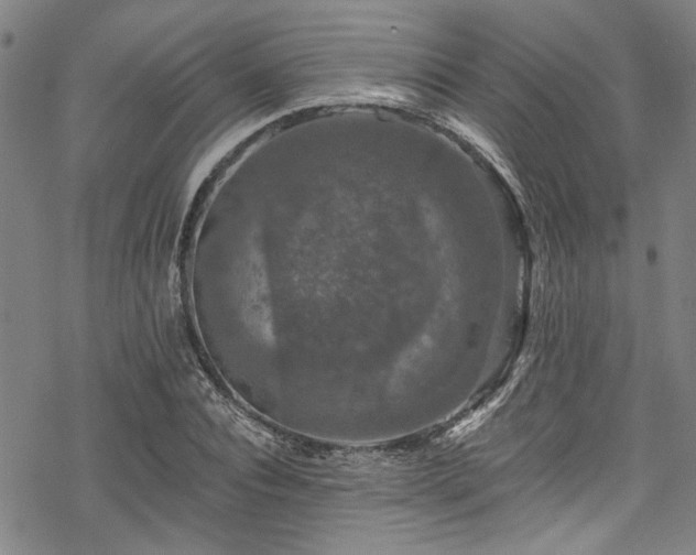 X0000068840928200605051258