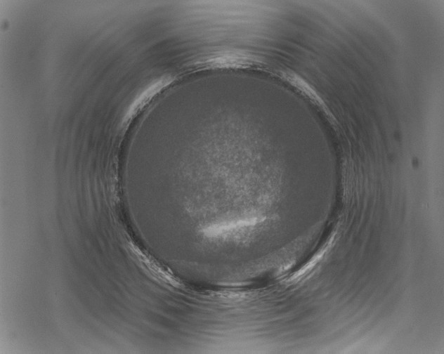 X0000068840930200605051258