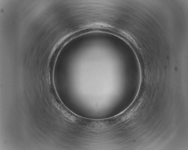 X0000068840931200605051258