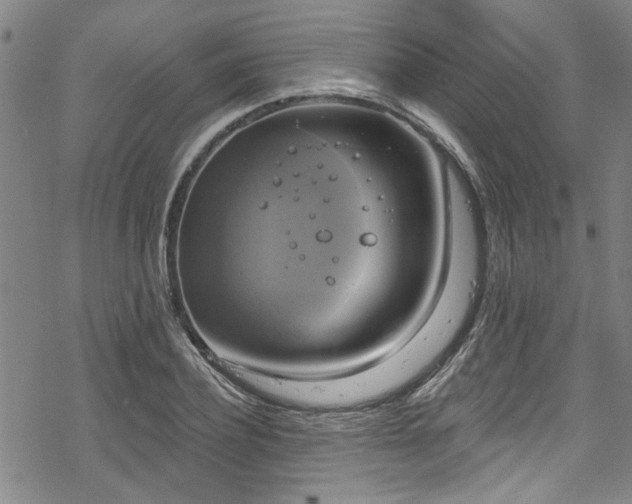 X0000068840932200605051258