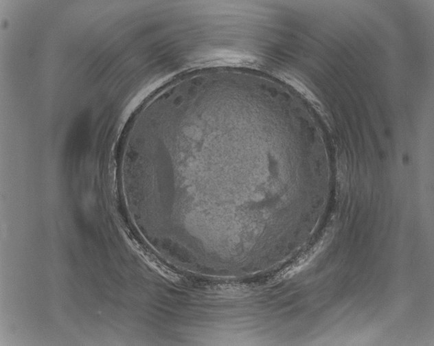 X0000068840933200605051258