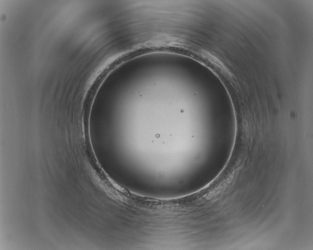 X0000068840934200605051258