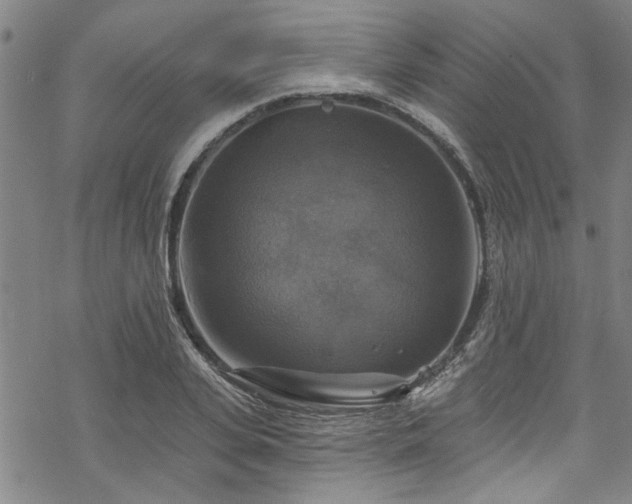 X0000068840935200605051258