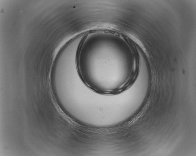 X0000068840936200605051258