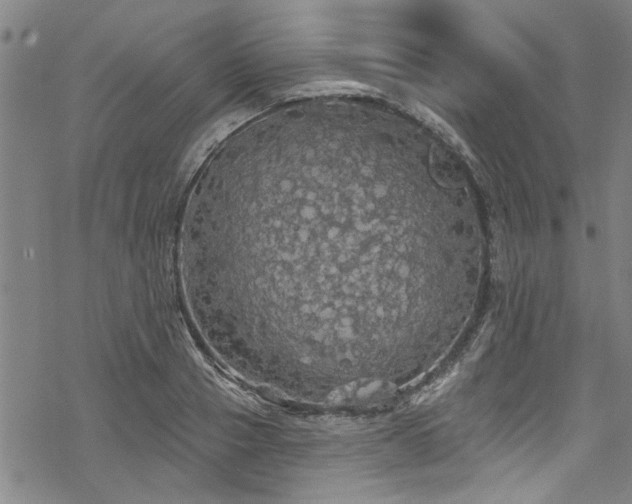 X0000068840937200605051258