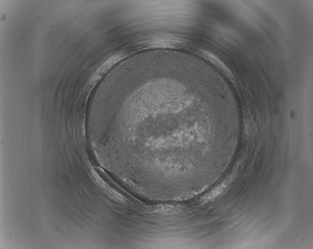 X0000068840938200605051258