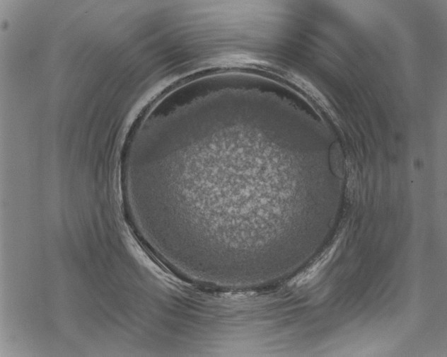 X0000068840939200605051258