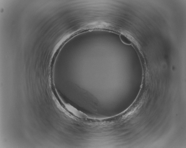 X0000068840941200605051258