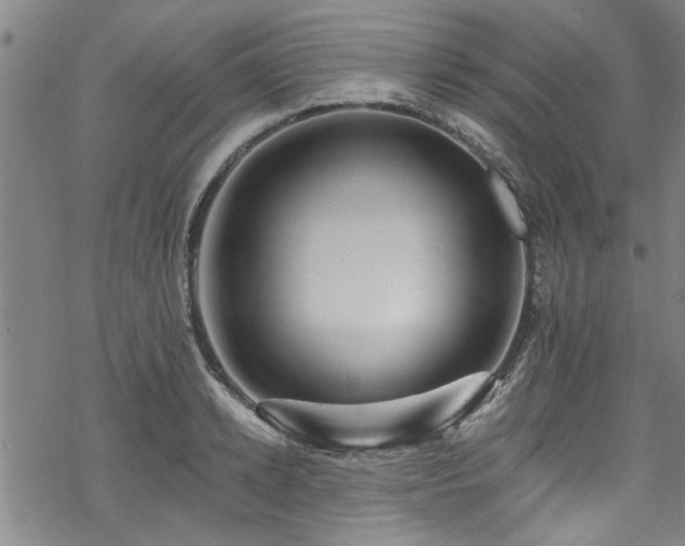 X0000068840942200605051258