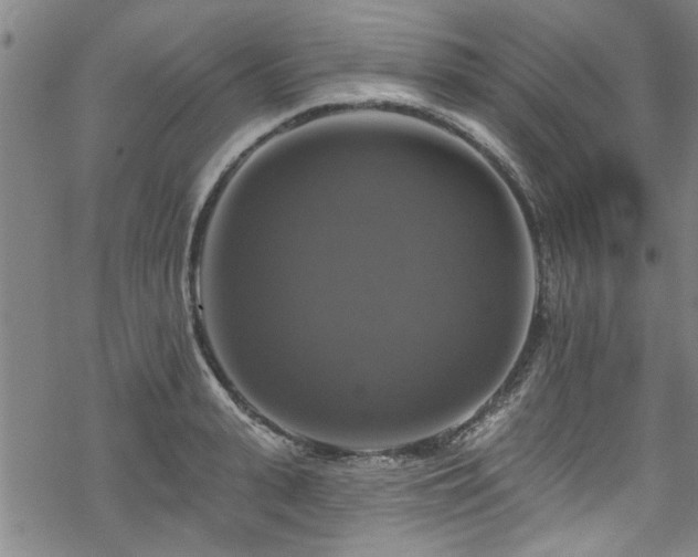 X0000068840943200605051258