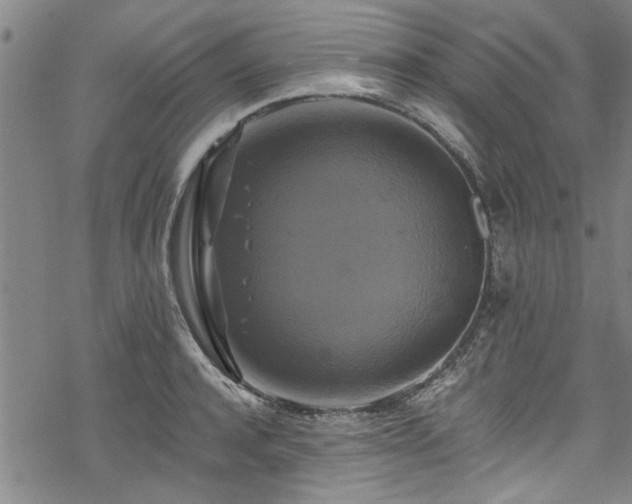 X0000068840944200605051258