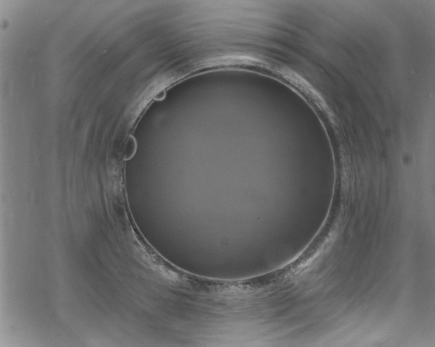 X0000068840945200605051258