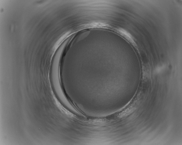 X0000068840946200605051258